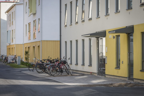 Bild